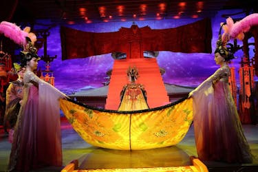 Tour privato di un’intera giornata: spettacolo con cena dei guerrieri di terracotta di Xian e della dinastia Tang